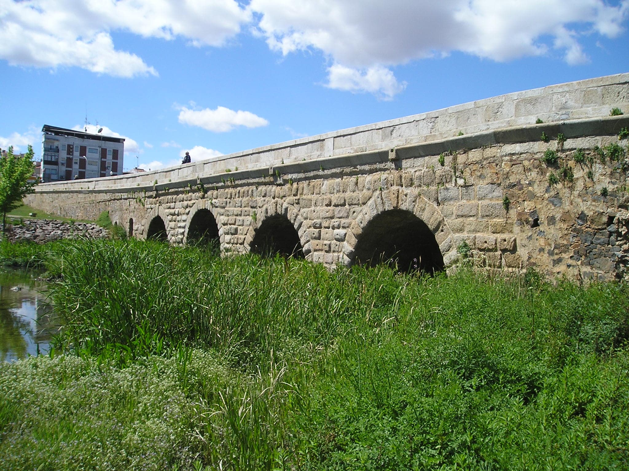 Puente Sobre Albarregas merida