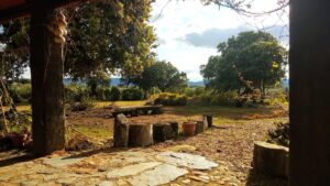 PRECIOSA FINCA RÚSTICA EN VALDEARENALES