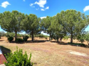 INCREÍBLE FINCA RÚSTICA EN VALDEARENALES