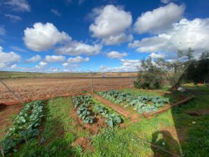 Chalet en Ctra de Alange-Almendralejo