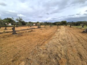 Finca rústica, a 5 minutos de la entrada de Don Álvaro