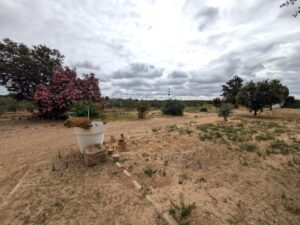 Casa de Campo Hipotecable en Mérida