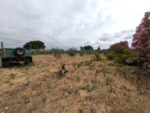 Casa de Campo Hipotecable en Mérida