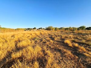 Finca Rústica en Valverde de Mérida