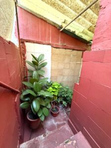 ANTONIO DOMÍNGUEZ, BADAJOZ