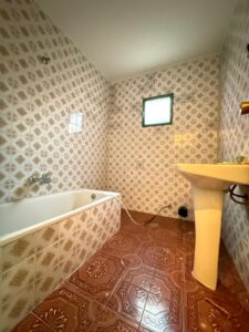 ANTONIO DOMÍNGUEZ, BADAJOZ