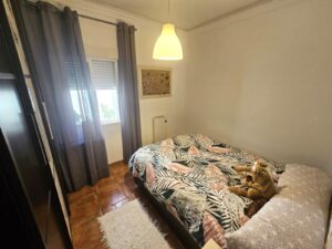 LLOPIS IBORRA, CÁCERES