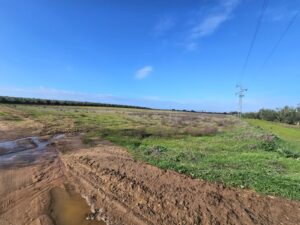 PARCELA EN VENTA EN BADAJOZ FRENTE AL CORAZÓN DE JESÚS
