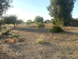 LOS ROSTROS, BADAJOZ