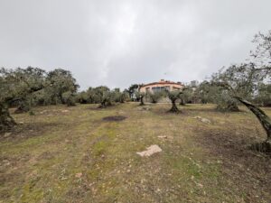 Casa de Campo Hipotecable con Piscina en Alcuescar