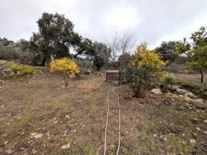Casa de Campo Hipotecable con Piscina en Alcuescar