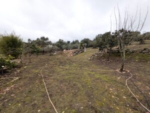 Casa de Campo Hipotecable con Piscina en Alcuescar