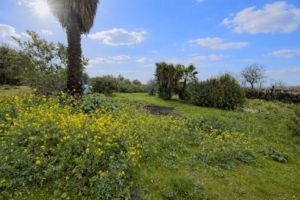 Casa de Campo con Piscina en Esparragalejo