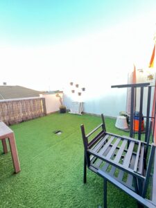 ADOSADO EN CORTE DE PELEAS, BADAJOZ