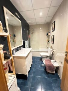 ADOSADO EN CORTE DE PELEAS, BADAJOZ