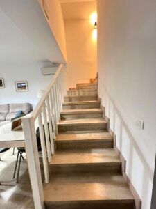 ADOSADO EN CORTE DE PELEAS, BADAJOZ