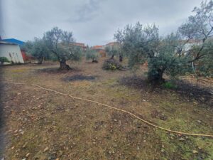 Terreno urbano en Valverde de Mérida