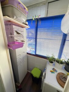 Piso en primera planta sin ascensor, Zona San José