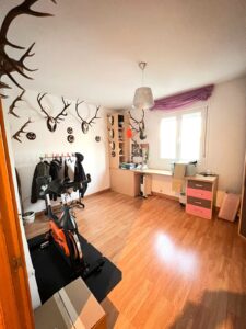 ADOSADO EN CORTE DE PELEAS, BADAJOZ