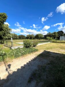 SE VENDE PARCELA EN CAMINO DE ÁNIMAS