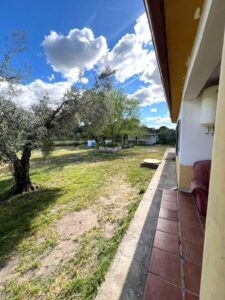 SE VENDE PARCELA EN CAMINO DE ÁNIMAS