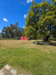 SE VENDE PARCELA PROINDIVISO EN CAMINO DE LAS ÁNIMAS