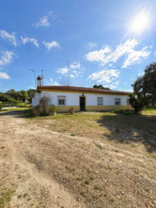 SE VENDE PARCELA EN CAMINO DE ÁNIMAS