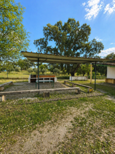 SE VENDE PARCELA EN CAMINO DE ÁNIMAS