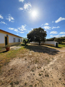 SE VENDE PARCELA EN CAMINO DE ÁNIMAS