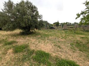 Casa de Campo Hipotecable en Don Álvaro