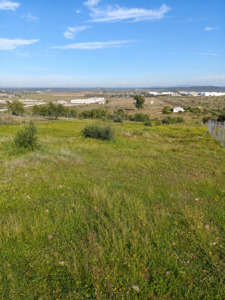 Finca Rústica El Prado