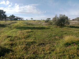 Finca Rústica El Prado