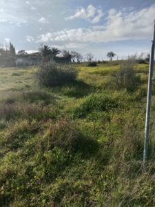 Finca Rústica El Prado