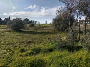 Finca Rústica El Prado