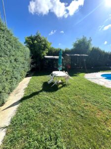 SE VENDE COMPLEJO TURÍSTICO CON 5 BUNGALOWS EN VALVERDE