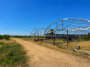 Finca Rústica con Piscina en Arroyo de San Serván