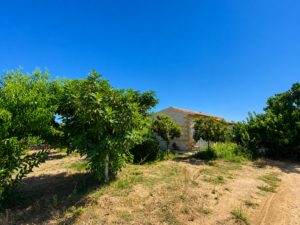 Finca Rústica con Piscina en Arroyo de San Serván