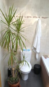 SE VENDE CHALET ADOSADO EN ALVARADO