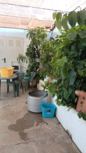 SE VENDE CHALET ADOSADO EN ALVARADO