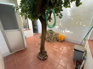 Cochera con patio, baño y aseo, Zona San José