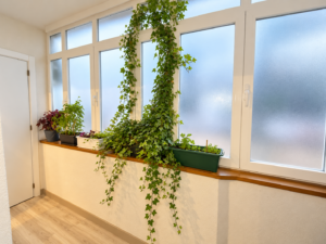 Planta Baja En La Zona de María Auxiliadora