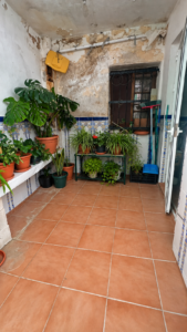 SE VENDE PISO CON TERRAZA, PATIO Y TRASTERO EN OLIVENZA
