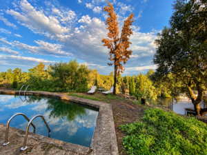 Campo con Piscina cerca de Valverde de Mérida