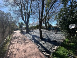 Chalet con piscina no hipotecable, Zafra